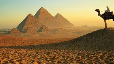 rusunion.com, фото - Новости Zakon.kz от 14.08.2020 14:16