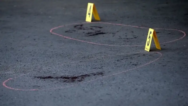 Подросток подозревается в убийстве 14-летней девочки в Москве