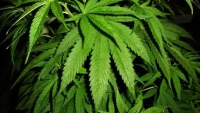 Zakon.kz, фото - Новости Zakon.kz от 24.02.2016 15:43