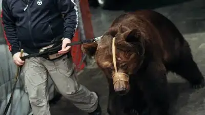 gazeta.ru, фото - Новости Zakon.kz от 25.01.2021 10:16