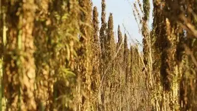 Zakon.kz, фото - Новости Zakon.kz от 26.09.2014 21:08