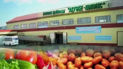 Zakon.kz, фото - Новости Zakon.kz от 22.09.2014 01:30