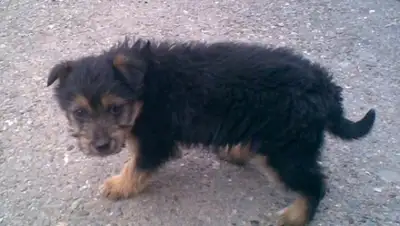 Zakon.kz, фото - Новости Zakon.kz от 13.01.2015 18:12