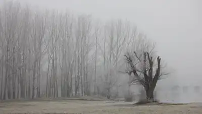 pixnio.com, фото - Новости Zakon.kz от 29.10.2021 16:38