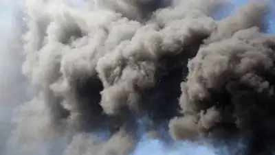 zen.yandex.ru, фото - Новости Zakon.kz от 16.07.2021 10:02