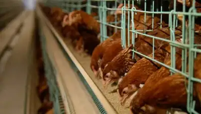 Zakon.kz, фото - Новости Zakon.kz от 30.03.2017 02:21