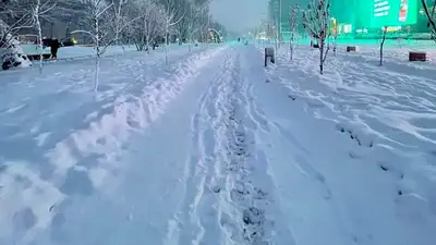 Когда закончится снегопад в Алматы, фото - Новости Zakon.kz от 04.01.2023 09:26