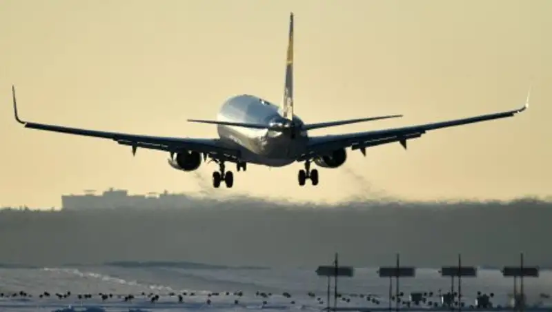 Пассажир устроил истерику из-за "индейки по-армянски" на рейсе в Азербайджан