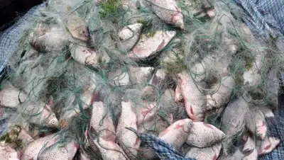 Трасса Е-95, фото - Новости Zakon.kz от 25.04.2018 00:32