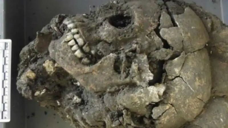 В Китае найдены 68 черепов с "третьим глазом"