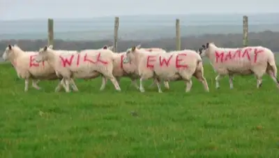 Zakon.kz, фото - Новости Zakon.kz от 27.11.2014 01:05