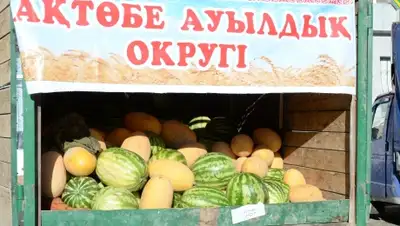 Zakon.kz, фото - Новости Zakon.kz от 07.09.2015 04:47