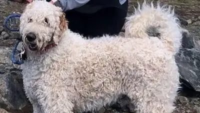 life.ru, фото - Новости Zakon.kz от 29.08.2018 00:49