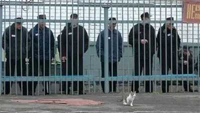 Zakon.kz, фото - Новости Zakon.kz от 27.10.2014 16:48