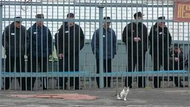 В казахстанских тюрьмах отбывают наказание около 2,4 тыс иностранцев