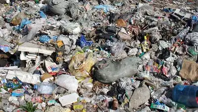 Zakon.kz, фото - Новости Zakon.kz от 20.08.2014 16:25