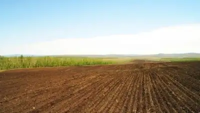 Zakon.kz, фото - Новости Zakon.kz от 10.08.2015 21:20