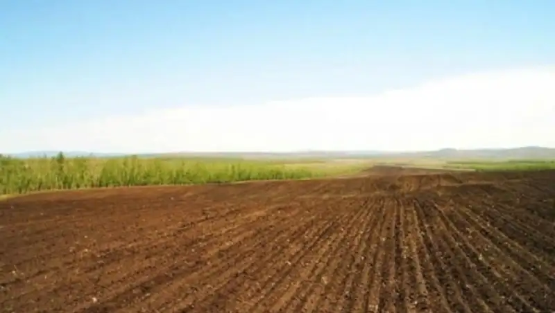 В Костанайской области в 2015 году создано свыше 5 тыс га пахотных земель