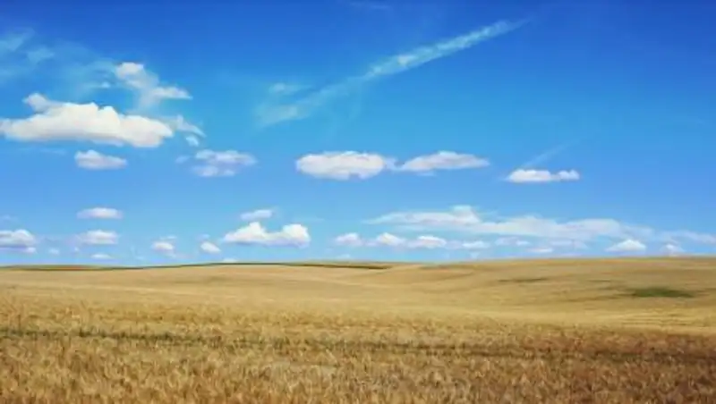 Кому запретят предоставлять земли, объяснили в МСХ