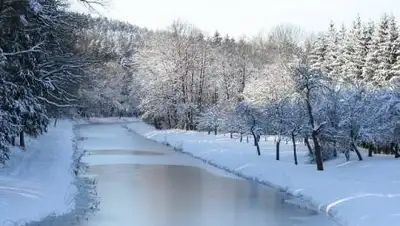 pixabay, фото - Новости Zakon.kz от 13.12.2020 15:59