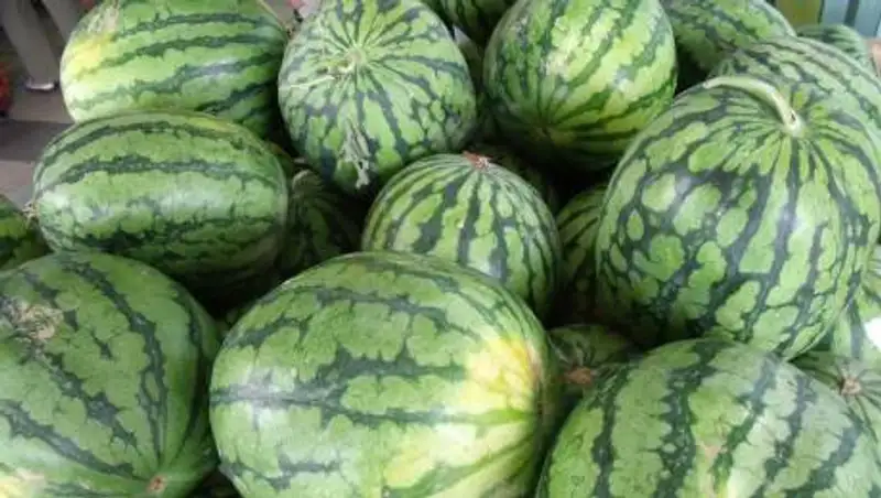 На рынках Актобе продаются опасные арбузы