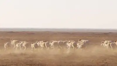 пресс-служба, фото - Новости Zakon.kz от 09.12.2020 12:09