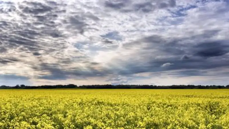 Какая погода ждет казахстанцев 22 июня