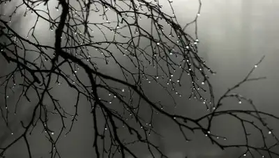 express-k.kz, фото - Новости Zakon.kz от 09.04.2018 12:19