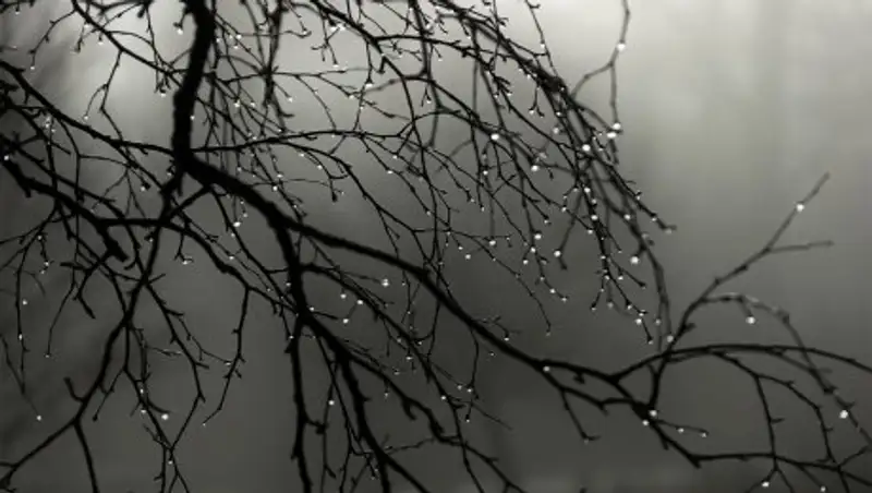 О погоде в начале недели рассказали синоптики