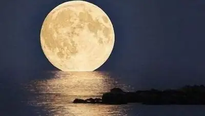 Zakon.kz, фото - Новости Zakon.kz от 30.08.2015 04:56