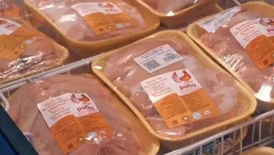 Курочка Ряба, фото - Новости Zakon.kz от 22.01.2020 09:04