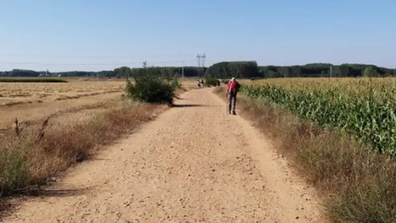 Пропавшего неделю назад парня из Акмолинской области нашли по дороге в Астану
