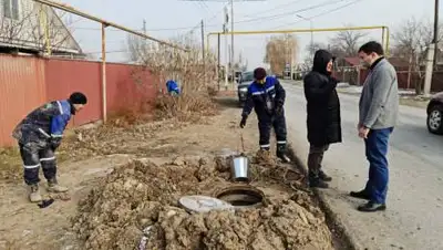 zakon.kz, фото - Новости Zakon.kz от 03.12.2020 20:52