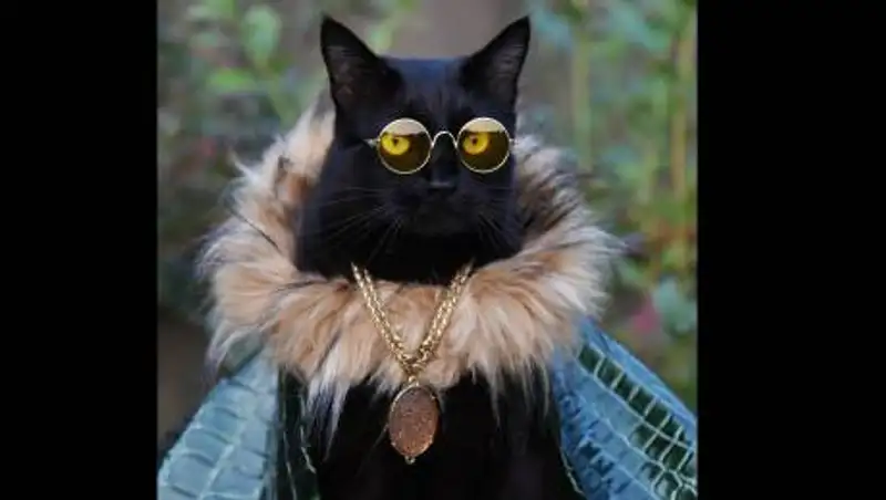 Пятница 13-е: Нумеролог рассказала, как избежать неприятностей