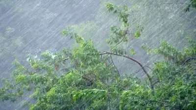 Depo.Київ - Depo.ua, фото - Новости Zakon.kz от 07.06.2018 16:13