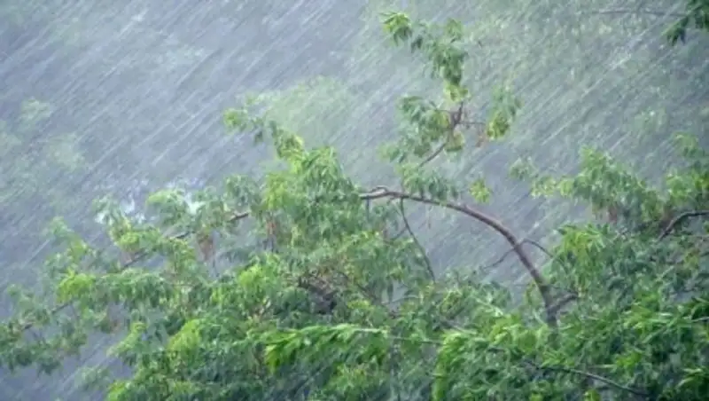 Штормовое предупреждение объявлено в нескольких областях страны