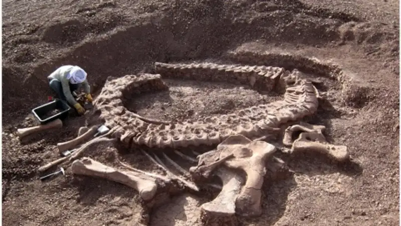 В Антарктиде ученые обнаружили свыше тонны останков динозавров