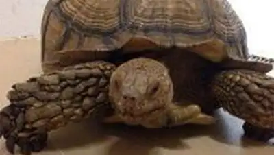 Zakon.kz, фото - Новости Zakon.kz от 22.09.2014 23:45