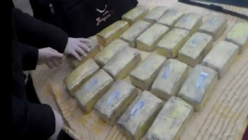 В Петропавловске задержали гражданина Таджикистана с 40 килограммами наркотиков