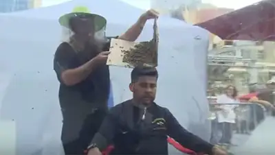 Zakon.kz, фото - Новости Zakon.kz от 01.09.2017 23:24