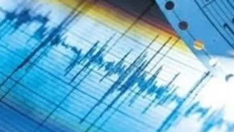 Землетрясение магнитудой 4 произошло в 294 км от Алматы