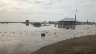 polisia.kz, фото - Новости Zakon.kz от 02.05.2020 09:21