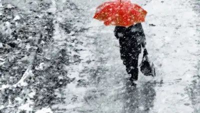 Zakon.kz, фото - Новости Zakon.kz от 19.11.2014 14:25