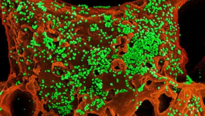 Liter.kz, фото - Новости Zakon.kz от 05.02.2020 11:50