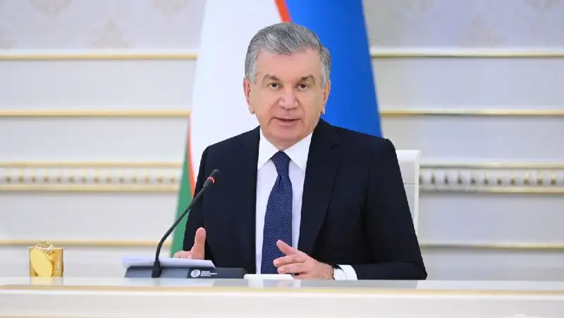 Беспорядки в Нукусе готовились иностранными силами годами – Мирзиёев