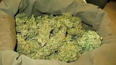 Zakon.kz, фото - Новости Zakon.kz от 01.10.2014 21:29