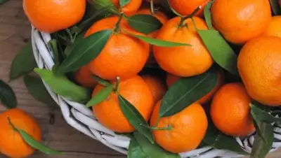 Zakon.kz, фото - Новости Zakon.kz от 26.12.2016 19:41