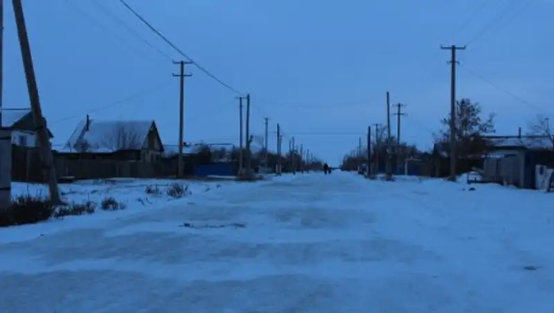 Назарбаев усомнился, что девушки-выпускники аграрных вузов поедут в село