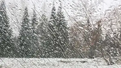 Навигатор, фото - Новости Zakon.kz от 28.02.2020 06:07