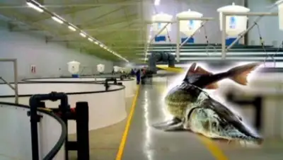 Zakon.kz, фото - Новости Zakon.kz от 12.05.2015 13:17